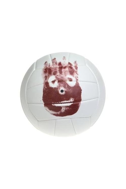 Wilson the Volleyball